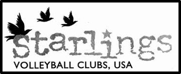 Starlings Volleyball Clubs USA Image.jpg